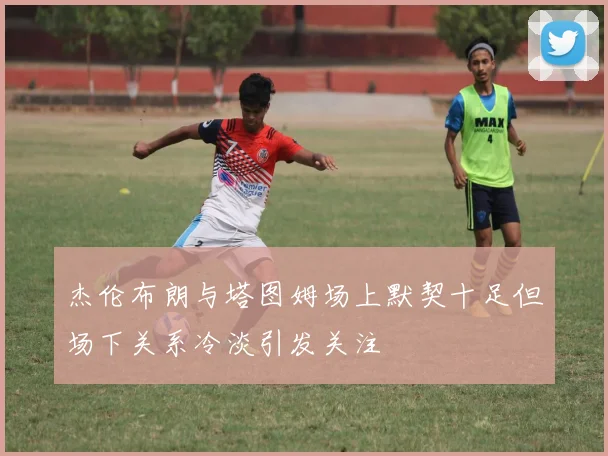 杰伦布朗与塔图姆场上默契十足但场下关系冷淡引发关注