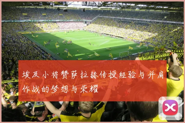 埃及小将赞萨拉赫传授经验与并肩作战的梦想与荣耀